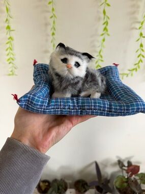 Plush Gray & White Kitten on Blue Plaid Cushion